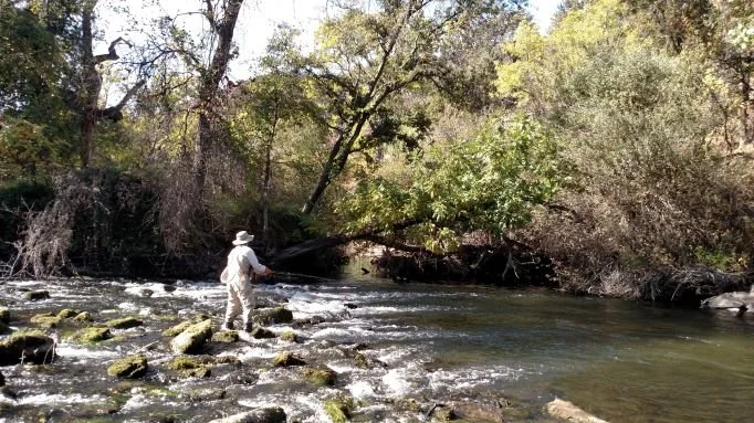 Fly Shop — Lance Gray & Company
